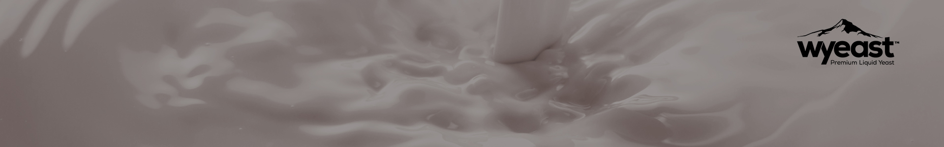 Liquidi Wyeast