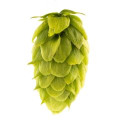 Luppolo Rottenburg - 1 kg Pellets T90