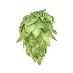 Luppolo Krush® - 250 g Pellets T90