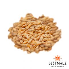 Malto BEST Beechwood Smoked - 25 kg