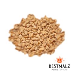 Malto Best Heidelberg Wheat - 25 kg