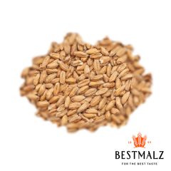 Malto Best Spelt (Farro/Dinkel) - 5 kg