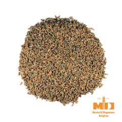 Malto Dingemans Rye (Segale) - 1 kg