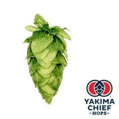 Luppolo Yakima Chief Hops® HBC 1134 - 5 kg Pellets T90