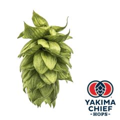 Luppolo Yakima Chief Hops® Cashmere - 5 kg Pellets T90