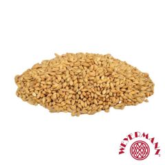 Malto Weyermann® CaraPils® BIO - 25 kg