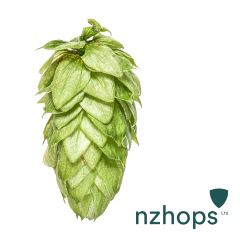 Luppolo Motueka™ - 1 kg Pellets T90