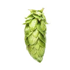 Cryo Hops® pellets Nectaron® -  50 g