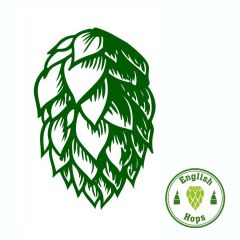 Luppolo Pilgrim - 5 kg Pellets T90