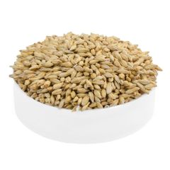 Malto Italmalt Pilsen - 5 kg
