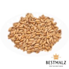 Malto Best Spelt (Farro/Dinkel) - 25 kg