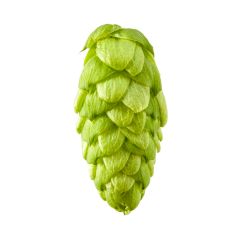 Luppolo Strata - 5 kg Pellets T90