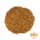 Malto Dingemans Special B® (Cara 300) - 5 kg