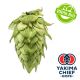 Luppolo Yakima Chief Hops® Centennial BIO - 5 kg Pellets T90