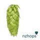 Luppolo Nelson Sauvin™ - 5 kg Pellets T90
