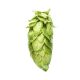 Cryo Hops® pellets Nectaron® - 1 kg