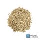 Malto Sladovny Soufflet Pale Ale - 25 kg