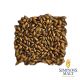 Malto Simpsons Brown (Coffee) - 1 kg