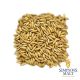 Malto Simpsons Oats - 5 kg