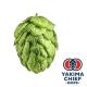 Yakima Chief Hops® Cryo Hops® pellets Strata - 5 kg