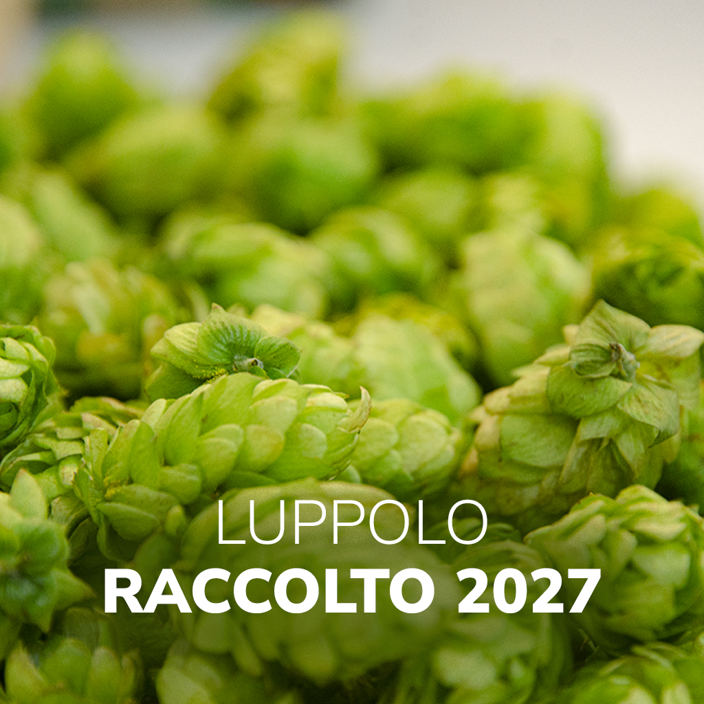 Luppolo Crop 2027