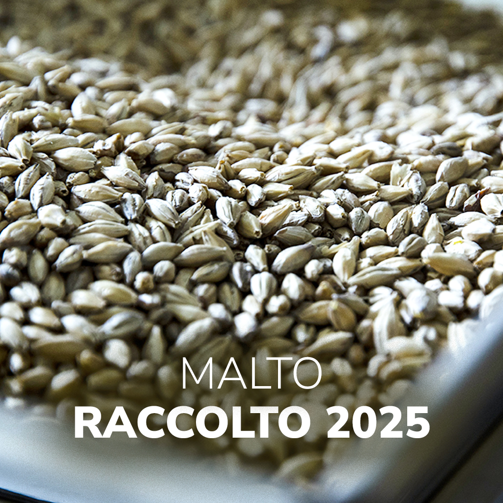 Malto Raccolto 2025